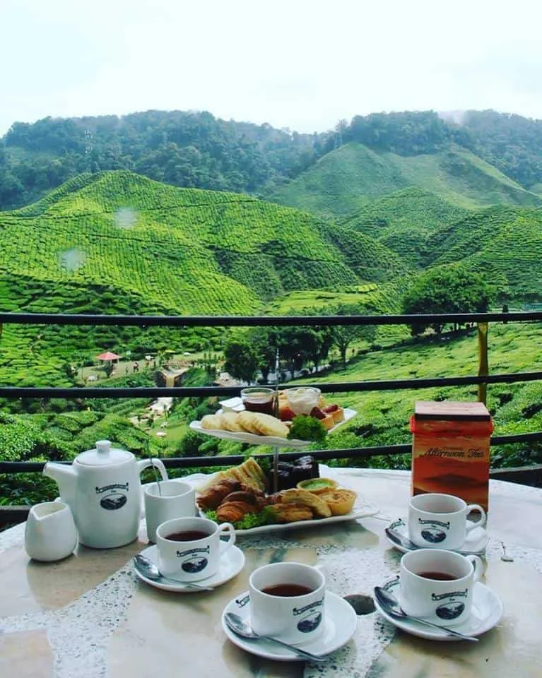 Pakej Travel Murah Cameron Highland
